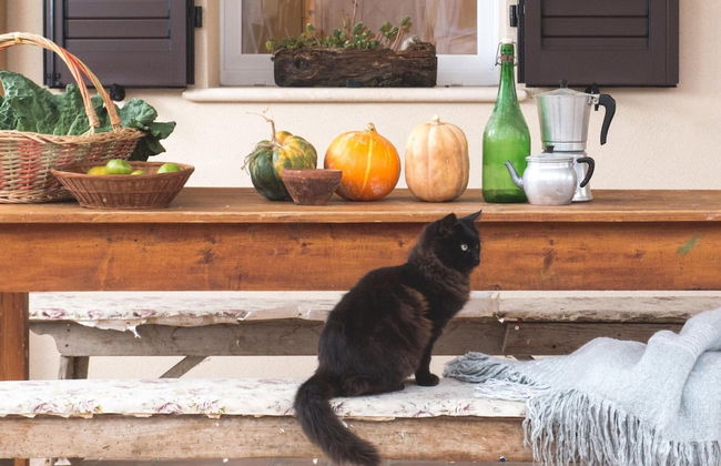 Farmhouse Tent in Marche Near Adriatic Sea - Foto 11