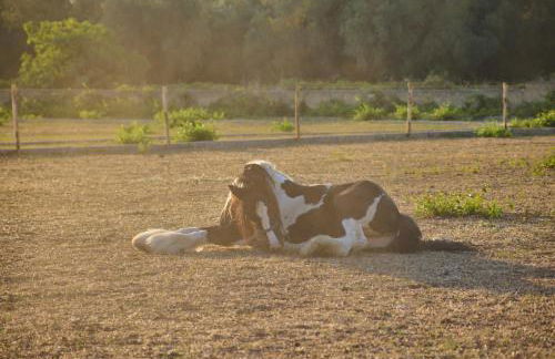 Villetta nel cuore del Salento - Foto 15