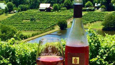 Mountain home, next to a Winery with a fire pit - Foto 3