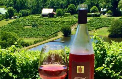 Mountain home, next to a Winery with a fire pit - Foto 3