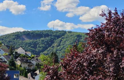 Ferienwohnung Malbergblick klassifiziert mit 4 DTV-Sternen - Foto 15
