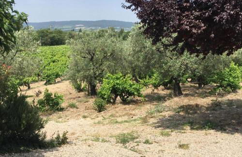 Mas du Prescondu - Foto 10