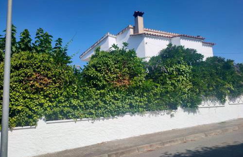 Maravillosa casa con piscina grande y bosque - Photo 22