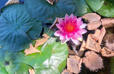 Villa Suzanne - Lambesc centre - Foto 24