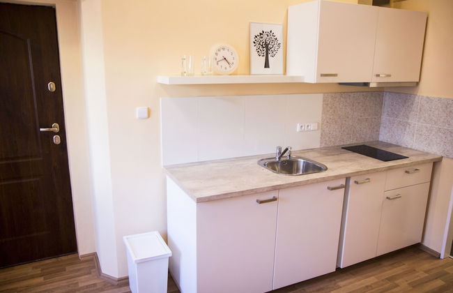 Lidicka Apartments - Foto 25