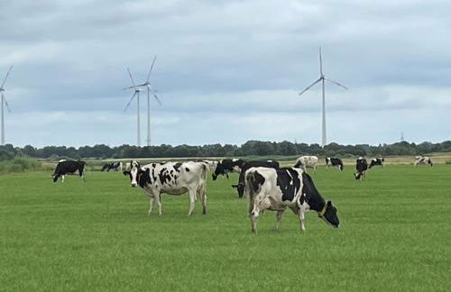 Ferienwohnung an der Ems 75100 - Foto 47