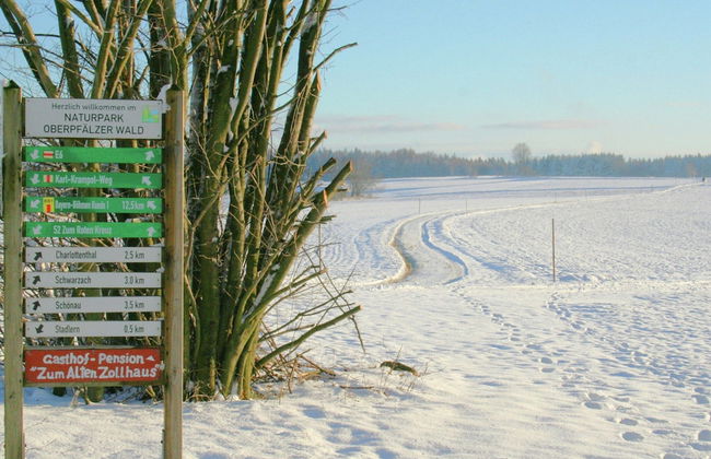 Sunny Holiday Home Near the Forest - Foto 34