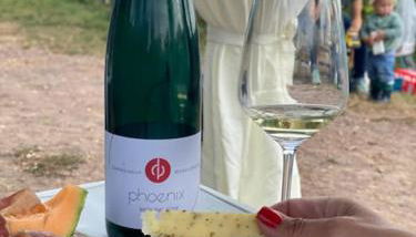 FERIENWOHNUNG ALL YOU NIED mit NIEDBLICK und TERRASSE - Foto 4