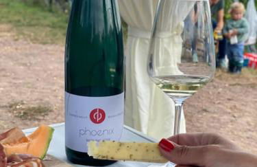 FERIENWOHNUNG ALL YOU NIED mit NIEDBLICK und TERRASSE - Foto 4