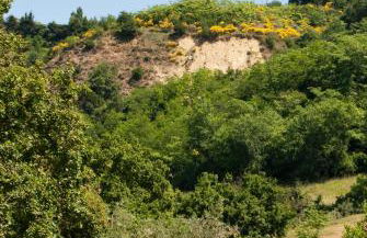 Agriturismo Il Falco - Foto 27