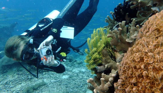 Taking photos during the dive