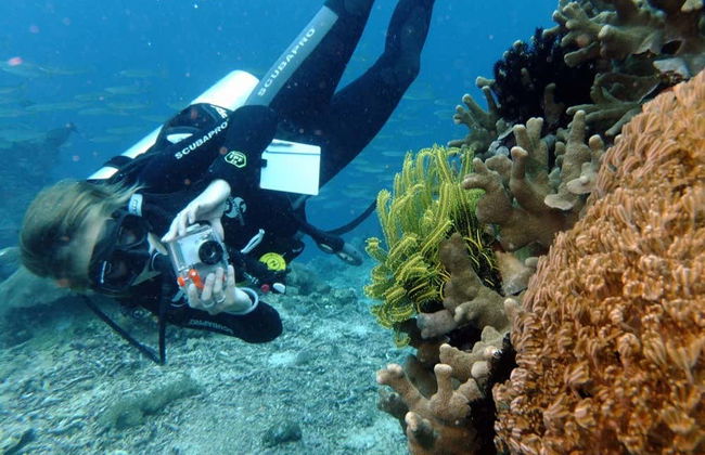 Buceo en Nusa Lembongan - Foto 4