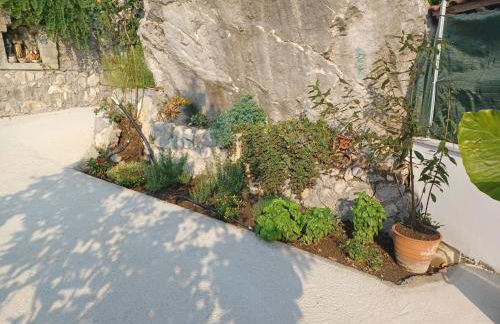 Rosa House - Foto 28