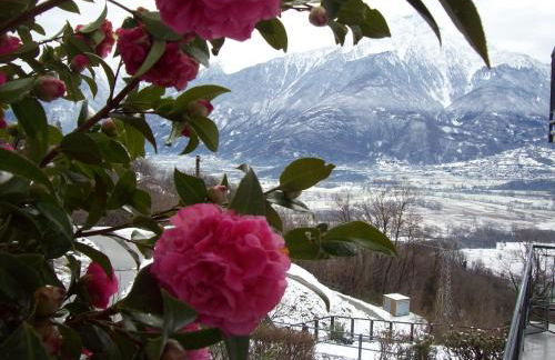 Casa delle Camelie - Foto 31