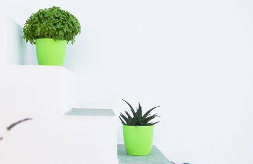 Geronti Moscha Apartment - Foto 31