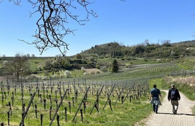 Holiday Apartment Swallow's Nest - Foto 19