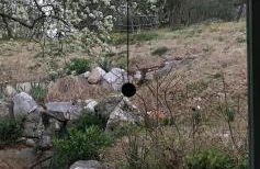 La Casa di Franco - Foto 14