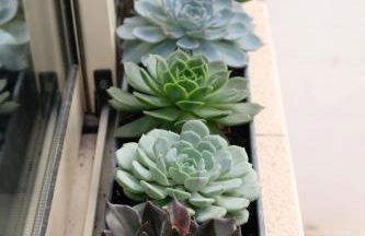 Yellow House - Checkinhome - Foto 61