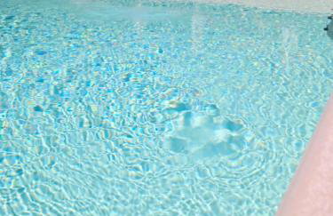 Sundial Houses - Pool & Garden - Photo 4
