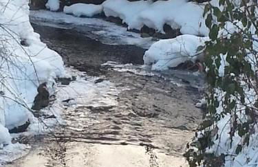 Ferienhaus Klingenbrunn - Foto 27