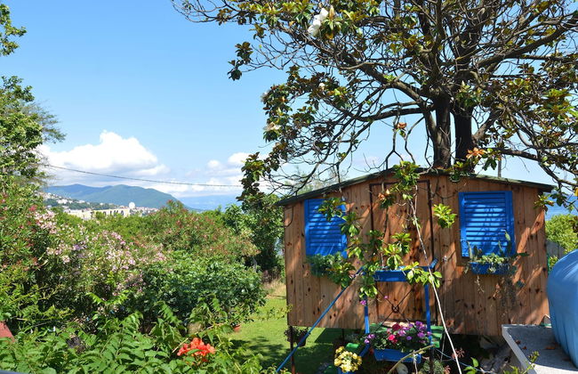 Apartments Igalo - Foto 35