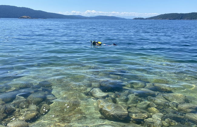 Heartwood Retreats - Foto 53