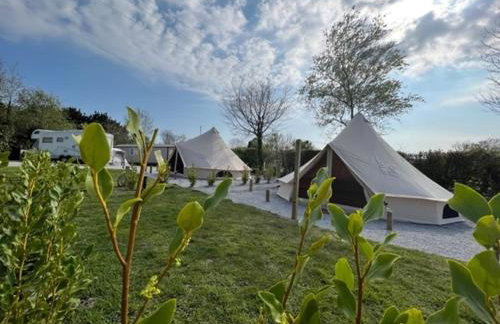 Polladras Holiday Park - Foto 31