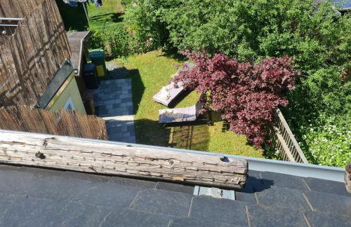 Rosenzauber Gipfelstürmer - Foto 29