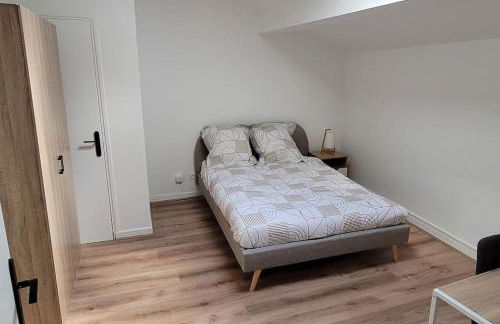 Bel Appart' 3 chambres 3 Sdb au centre-ville St Etienne - Foto 14