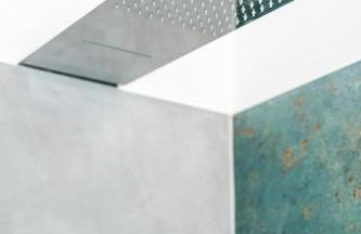 Helianthus - Photo 26