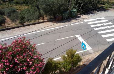 Casa da fonte - Foto 10