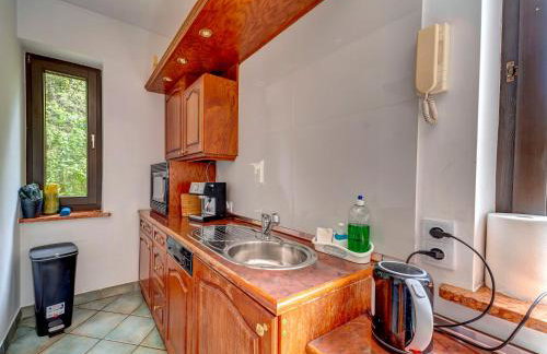 Holiday Home Zameczek Falsztyn by Interhome - Foto 35