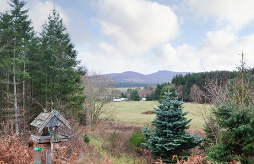 Park Lodge - Foto 12