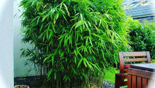 Gemütliche Ferienwohnung mit Garten - Foto 2