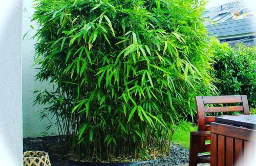 Gemütliche Ferienwohnung mit Garten - Foto 2