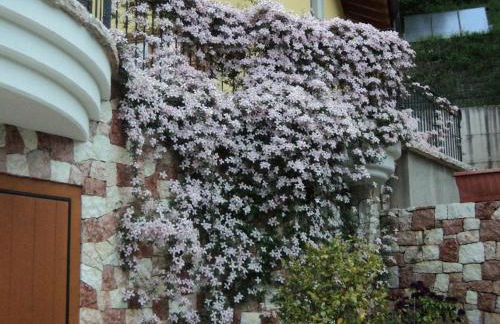 Villa Gardenia Molveno - Foto 46