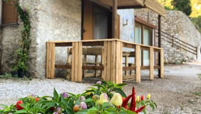 TENUTA BOSCO-Casa Vacanze - Foto 2, Garden