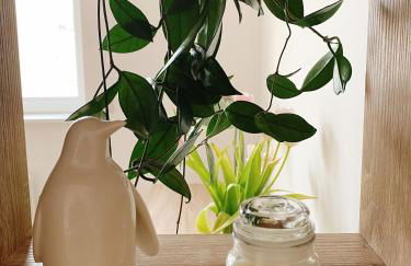 Grand Studio Sécurisé Hypercentre Calme 3 mins de la Gare - Foto 11