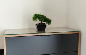 Estrella de O Vicedo - Foto 10