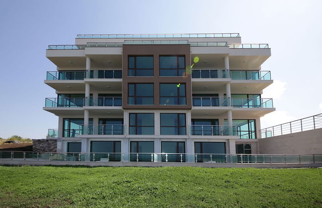 Calithea Complex - Photo 66