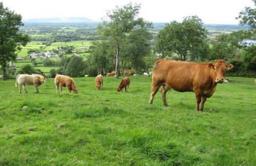 Knockninny Barn at Upper Lough Erne, County Fermanagh - Foto 45