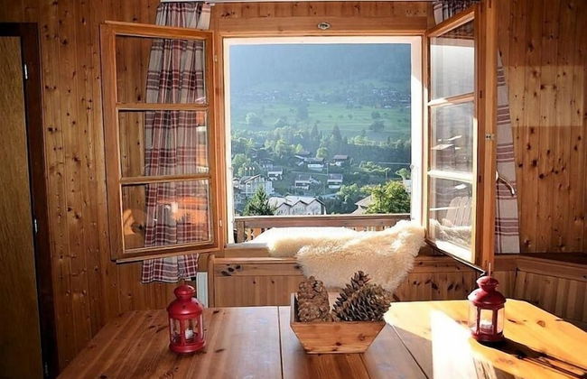 Tio Pepe UG - Foto 7