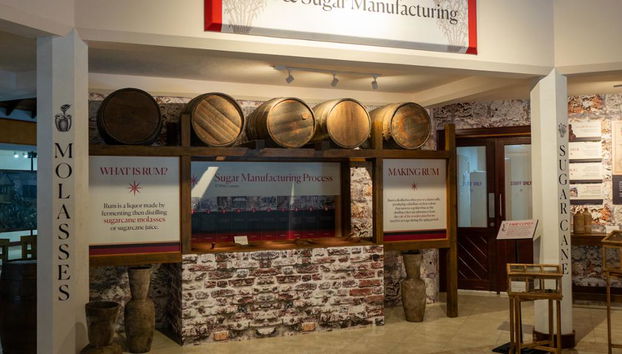 Harrison´s Cave Adventure Pass - Photo 5