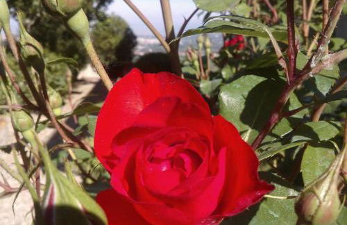 Il Palagetto - Photo 42