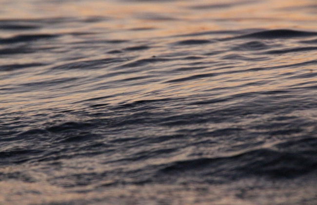 Holiday Home in Poel Near Sea Beach - Foto 32