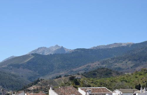 Centro de Arte - Foto 9