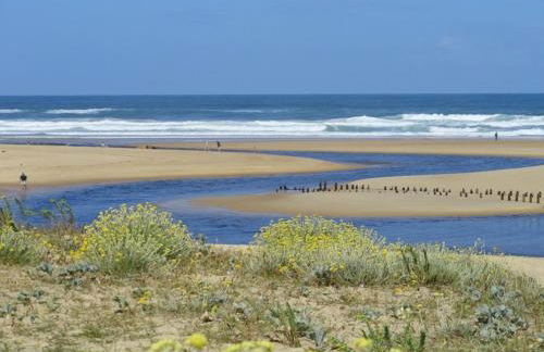 Gite mimosas - Foto 23