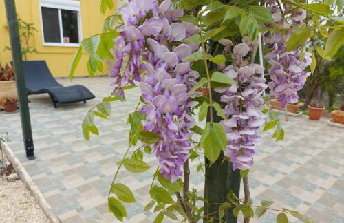 Grieks vakantiehuis To Kalokairi - Photo 29