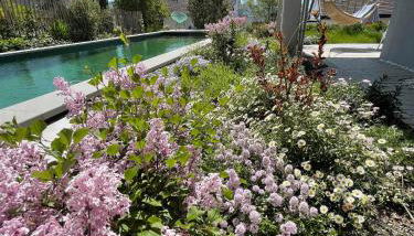 SeeSucht-Apartment No86 mit Terrassen, Sauna & Pool - Foto 4