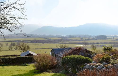 The Tottsie - Foto 17